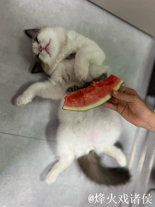 17吃瓜网免费吃瓜新视角:精彩不断 17吃瓜网免费吃瓜新视角:精彩不断