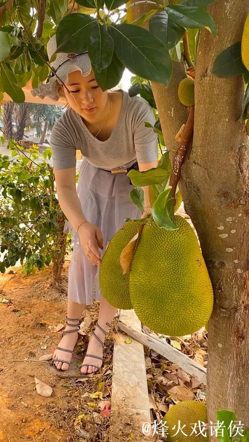 美女销魂菠萝蜜视频 美女销魂菠萝蜜视频